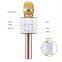 Q7 Microphone speaker karaoke bluetooth wireless speaker Mic mobile KTV player