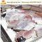 Table top fish skin removing machine and electric fish skinner machine