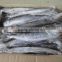 frozen fish (spanish mackerel 500-750g)