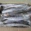 frozen fish (spanish mackerel 500-750g)