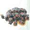 Instant Food Roe Kelp Roll Made in China Export to Japan