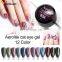 Venalisa Meteorite Aerolite  UV/LED Soak Off 9D Galaxy Glitter Magnetic Cat Eye Gel Polish Painting Gel Lacquer Varnish