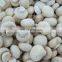 Sinocharm BRC-A Approved 4-6mm IQF Champignon Mushroom Sliced Frozen Champignon