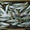 Frozen Sardine from Chinese Manufacture