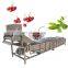 bubble back high pressure nozzle water cycle leaf vegetable keep fresh cleaning machine