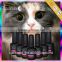 V.chlo wholesale gel color polish soak off cat eye gel polish