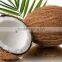 Matured coconut