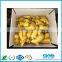 Fresh Ginger Shipping Boxes pp Corrugated Plastic Sheets