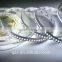 SMD 3014 LED Strip Super Bright 204led/m Led Tape Light DC 12V White or Warm White Color 5m/lot