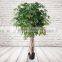 Fake Decorative Ficus Tree Artificial Ficus Tree Plant For Landscape Project