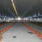 prefabricated light steel structue buildings/chicken sheds/houses