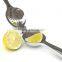 lemon squeezer in fruit and vegetable tools
