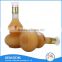 Chinese natural herbal immune tonic wine health care product