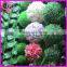 preserved boxwood ball faux boxwood balls decorative boxwood ball