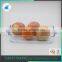Transparent glass bowl glassware salad bowl