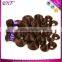 One Donor Real Virgin Human Hair 100% Unprocessed Charming AAAAA Remy Brazilian Micro Braid Hair Extensions