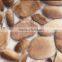 china cheap 3d stone wallpaper /pvc 220g wallpaper/china wall decoration factories