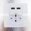 5V 2.1A 2 USB household appliances Electrical schuko wall socket for charging cell phones