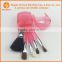 5pcs in plastic box translucent pink FREE samples nylon Hair makeup brush set with OEM design
