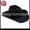 Male Gender and Adults Age Group cowboy hat