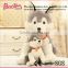 New design Cute High quality Customize kid toys ad gifts Wholesale Plush toys dog Siberian Husky