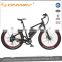 Fashionable sport beach cruiser electric road bike 250w