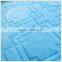 Bedding Extra Soft Flannel Fleece Blanket Lightweight Thickening Throw/Bed Blanket Pure Color Blanket Sky Blue