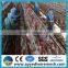 Anping yedi factory layer chicken battery cages