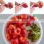 Multifunction Stainless Food Strawberry Huller Fruit Kitchen Slicer