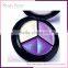 Waterproof Feature and Eye Use private label 3 colors eyeshadow palette