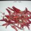 RED DRY CHILLY WHOLE (MP-12/S12)