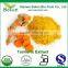 Turmeric Curcumin 95% Curcumin