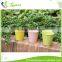 china home decor wholesale 4 inch 10cm customized metal pail plant zinc water bucket flower pots