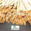 Vietnam cinnamon stick