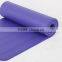 Customized color best sell newest nbr yoga fitness exercise mat