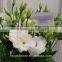 Best Price Fresh Cut Flowers White Eustoma For Sale