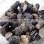 Pure Black Musli