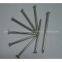 Common Nails