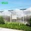 SHINEHWA Complete polycarbonate greenhouse low cost greenhouse