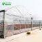 Factory Price High Quality Greenhouses/Garden Greenhouse/Low Cost Greenhouse