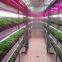 135W LED glow light  red white 8:1  AC85-265V    JML-GL-45*3W
