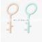 Key Shaped Pet Toy Bite Resistant Dogs Interactive Teasing Entertaining Toy Teeth Grinding Pet Supplies