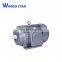 Top Quality 110kw 6 Pole y Series Three-Phase Electric Motor