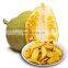 High Quality Good Price Dried Jackfruit Dried Fruit