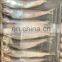 Good quality frozen capelin with roe for export