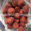 AM13 Sweet Charlie Honey Frozen For Freshness Strawberries IQF