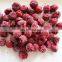 Sinocharm BRC A Approved IQF Pitted Sour Cherry Frozen Red Cherry
