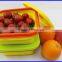 Original Creation Bento Box Lunch