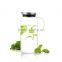"SAMADOYO" 1.3 L Borosilicate Glass Water Bottle With Lids