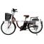Green Power Electric Bike With Pedal
